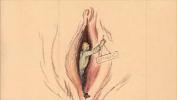 หนัง18 vintage erotic illustration ล่าสุด